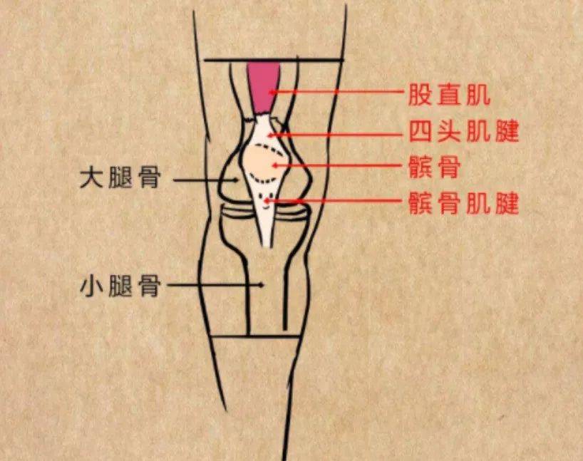 林书豪祝福！深夜自宣赛季报销，挺住啊兄弟！